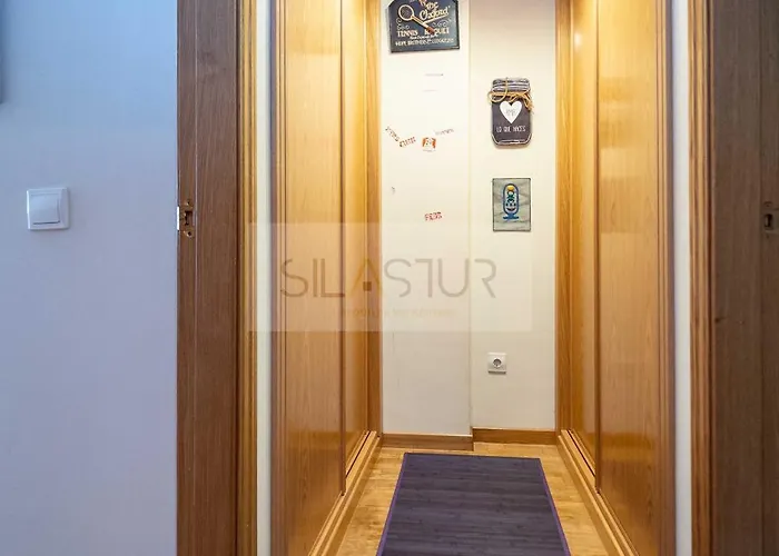 Nautilus By Silastur *